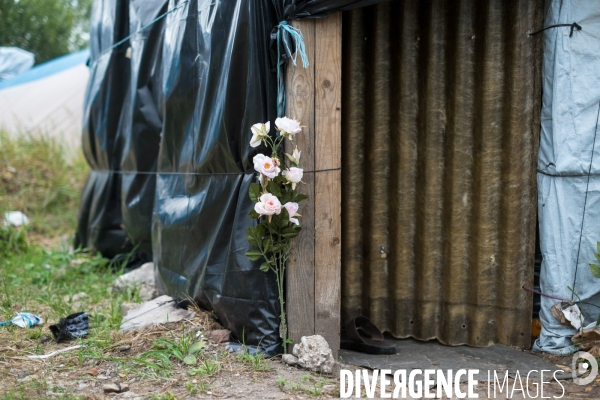 Migrants de Calais