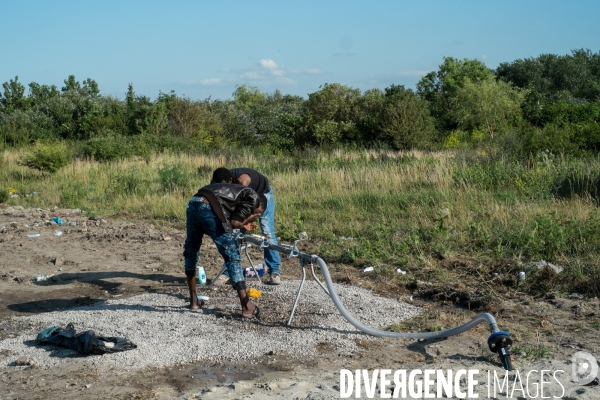 Migrants de Calais