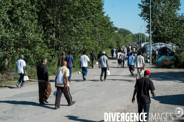 Migrants de Calais