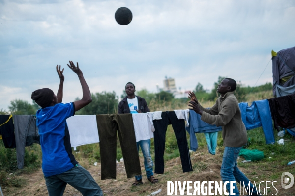 Migrants de Calais