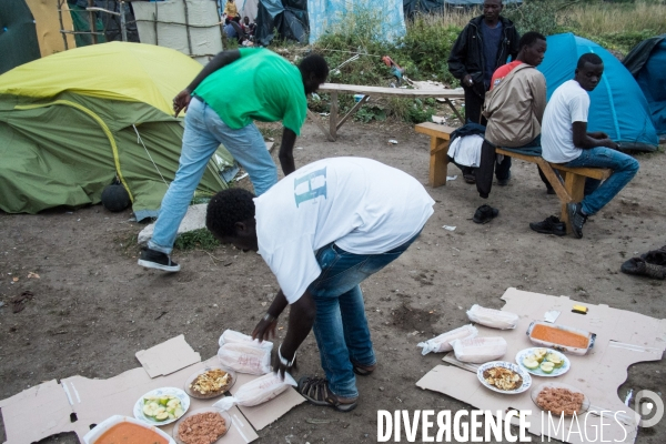 Migrants de Calais