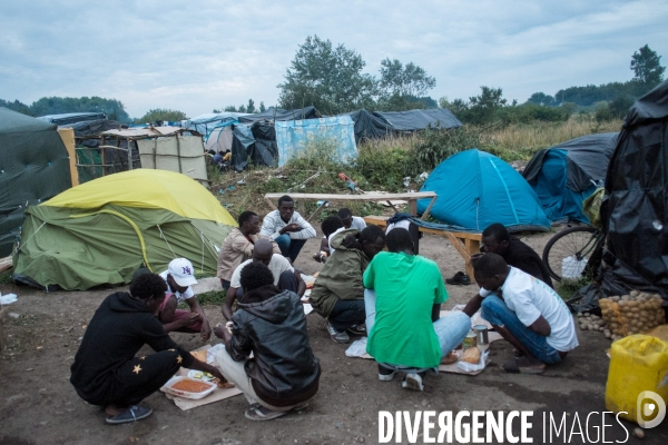 Migrants de Calais
