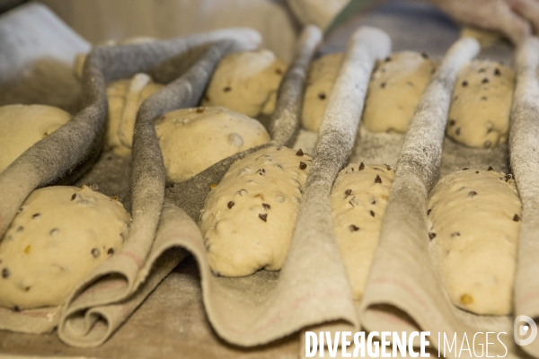 Nouveaux Paysans Bio #5 Meunier-Boulanger