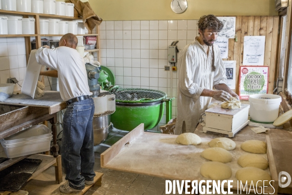 Nouveaux Paysans Bio #5 Meunier-Boulanger