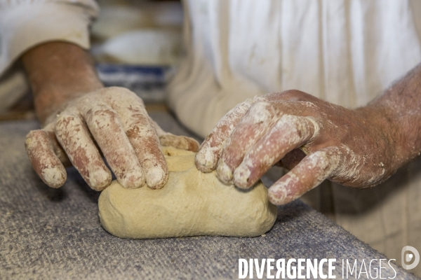 Nouveaux Paysans Bio #5 Meunier-Boulanger