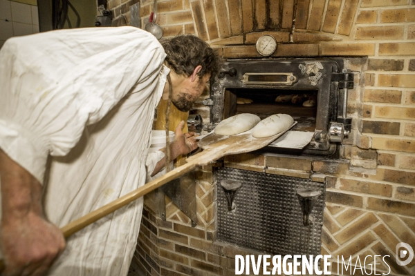 Nouveaux Paysans Bio #5 Meunier-Boulanger