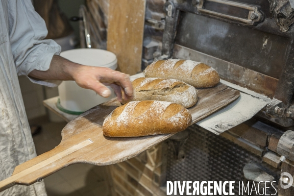 Nouveaux Paysans Bio #5 Meunier-Boulanger
