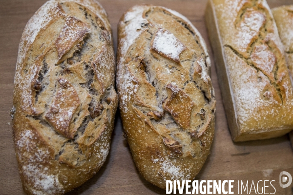 Nouveaux Paysans Bio #5 Meunier-Boulanger