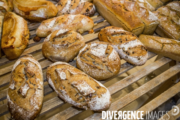 Nouveaux Paysans Bio #5 Meunier-Boulanger