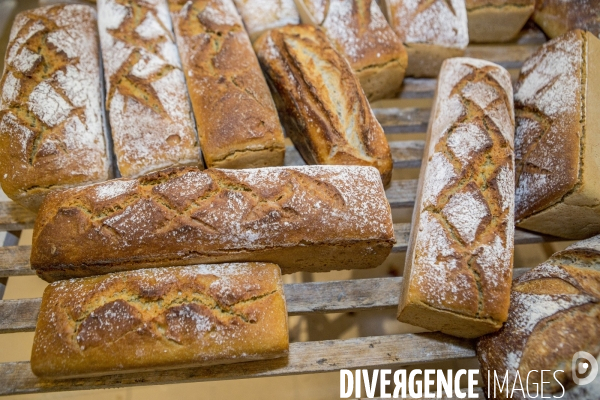 Nouveaux Paysans Bio #5 Meunier-Boulanger