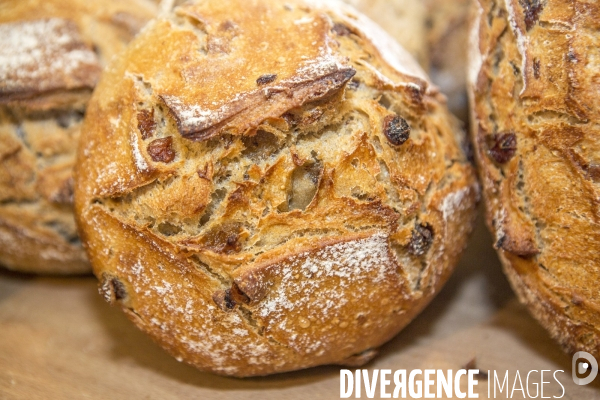 Nouveaux Paysans Bio #5 Meunier-Boulanger