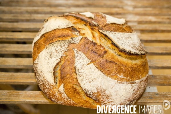 Nouveaux Paysans Bio #5 Meunier-Boulanger