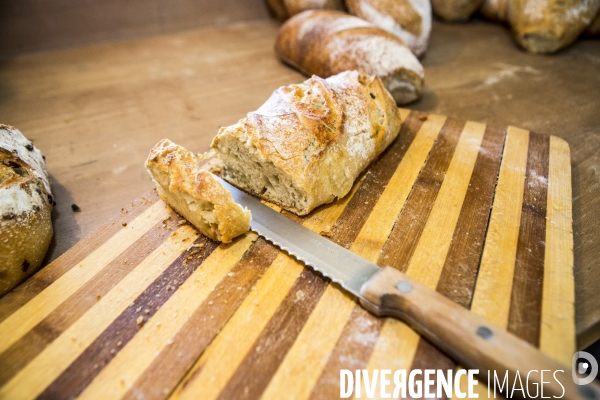 Nouveaux Paysans Bio #5 Meunier-Boulanger