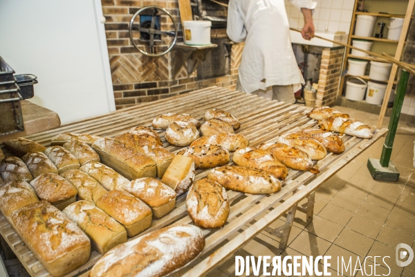 Nouveaux Paysans Bio #5 Meunier-Boulanger
