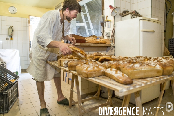 Nouveaux Paysans Bio #5 Meunier-Boulanger
