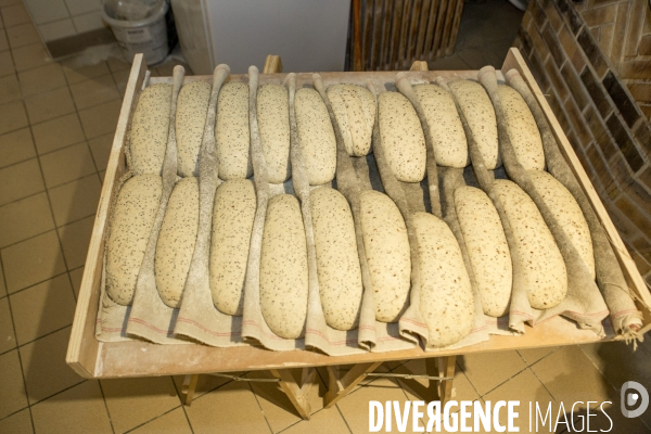 Nouveaux Paysans Bio #5 Meunier-Boulanger