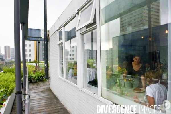 Rotterdam. Agriculture et revitalisation urbaines. Le Dak restaurant au 7 étage d un immeuble, sert des plats dont une partie des ingredients vient de la production du toit.