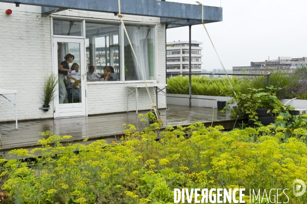 Rotterdam. Agriculture et revitalisation urbaines. Le Dak restaurant au 7 étage d un immeuble, sert des plats dont une partie des ingredients vient de la production du toit.