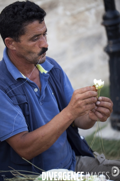 Monastir / Tunisie / Juillet 2011