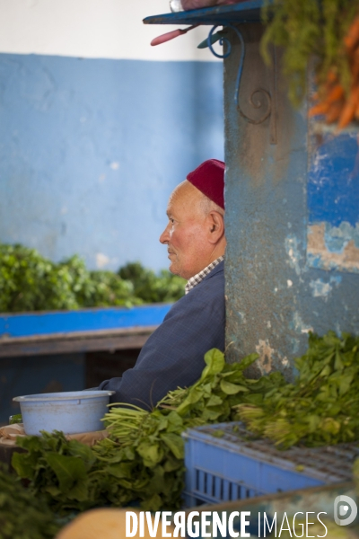 Monastir / Tunisie / Juillet 2011