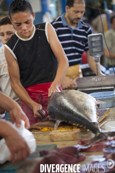 Monastir / Tunisie / Juillet 2011