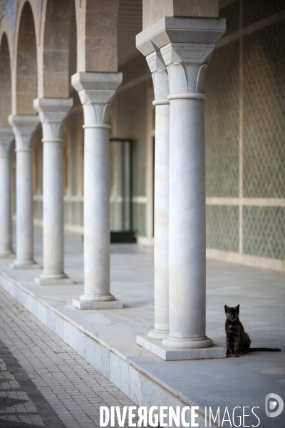 Monastir / Tunisie / Juillet 2011