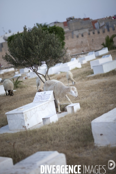 Monastir / Tunisie / Juillet 2011