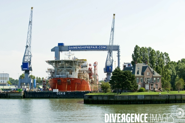 Croisiere dans le port de Rotterdam