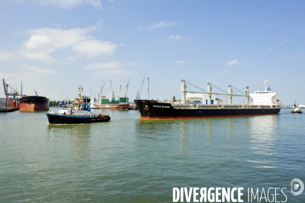 Croisiere dans le port de Rotterdam