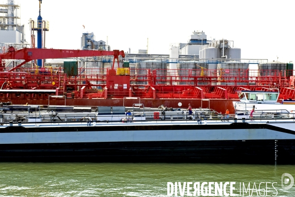 Croisiere dans le port de Rotterdam