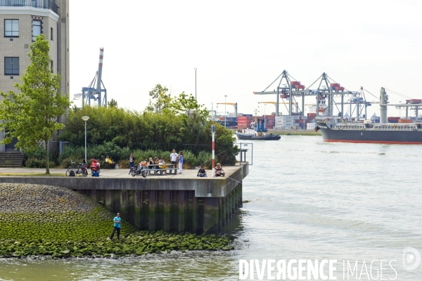 Croisiere dans le port de Rotterdam