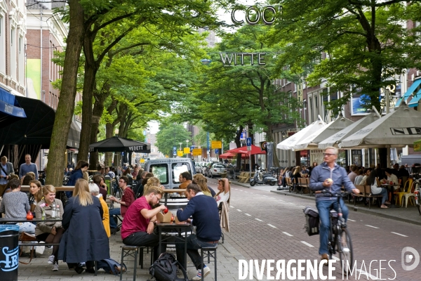 Rotterdam.Cafe dans la Witte de Withstraat  rue fashion et artistique rotterdamoise.