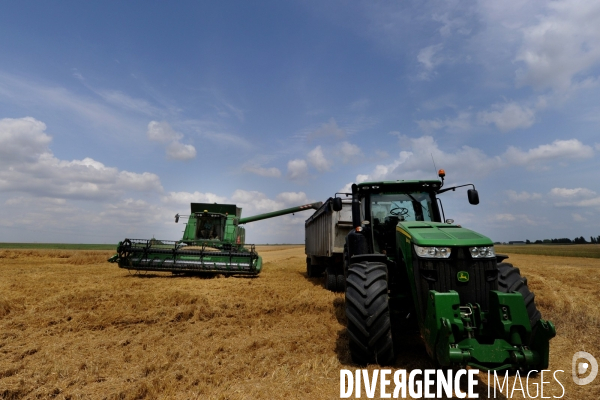 La moisson du blé sur une exploitation agricole du Loir et Cher
