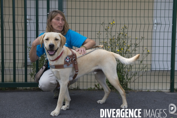 L  école de chiens guides d aveugles de Coubert