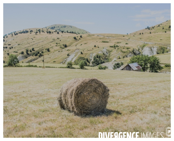 Sécheresse dans mon alpage