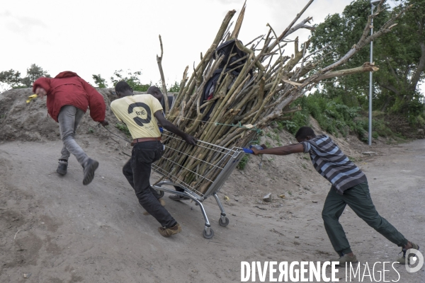 Un village bricolé, isolé et cerné de maquis... La jungle de Calais