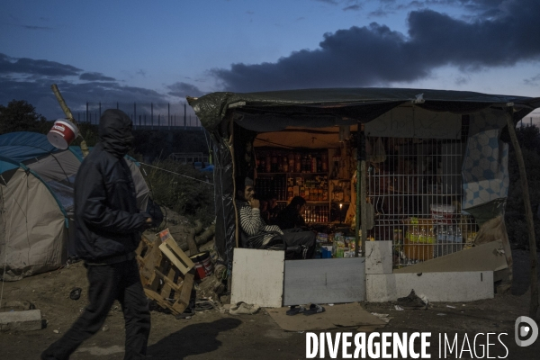 Un village bricolé, isolé et cerné de maquis... La jungle de Calais