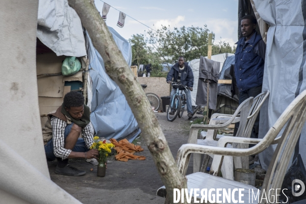 Un village bricolé, isolé et cerné de maquis... La jungle de Calais