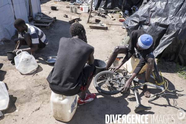 Un village bricolé, isolé et cerné de maquis... La jungle de Calais