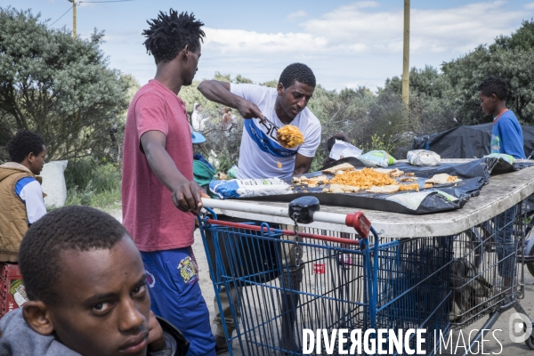 Un village bricolé, isolé et cerné de maquis... La jungle de Calais