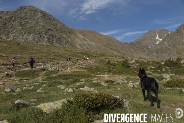 Chronique d En Haut