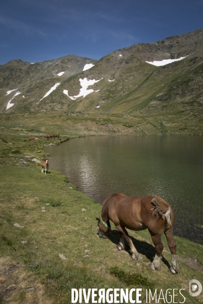 Chronique d En Haut