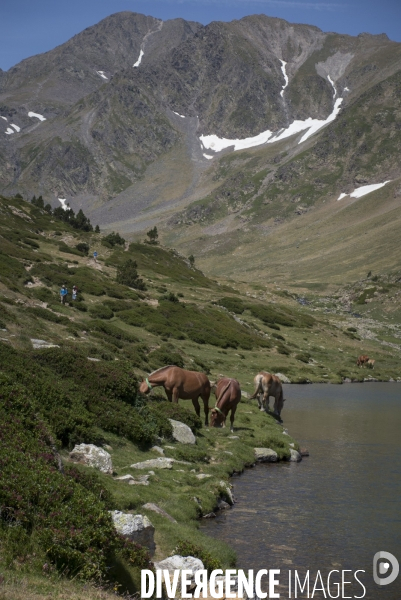 Chronique d En Haut