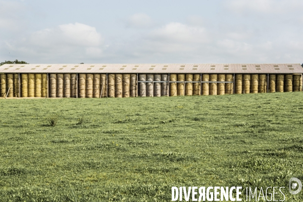 Paysages ruraux