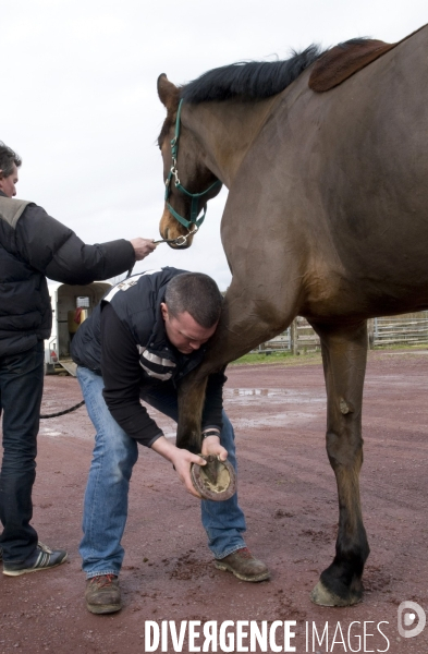 Clinique vétérinaire, ostéopathie animale pour chevaux. Veterinary clinic, animal osteopathy for horses.