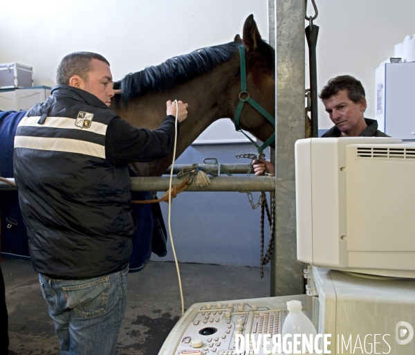 Clinique vétérinaire, ostéopathie animale pour chevaux. Veterinary clinic, animal osteopathy for horses.