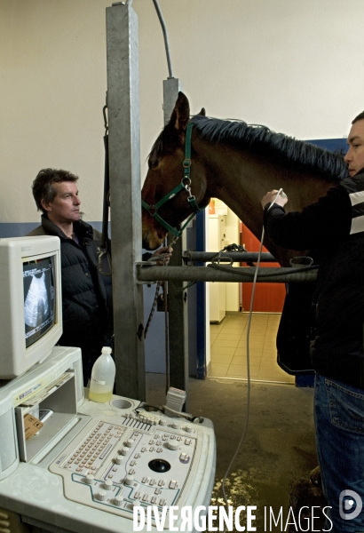 Clinique vétérinaire, ostéopathie animale pour chevaux. Veterinary clinic, animal osteopathy for horses.