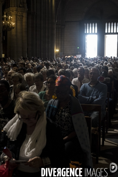 Fêtes de L Assomption de la Vierge Marie - Cathédrale Notre-Dame