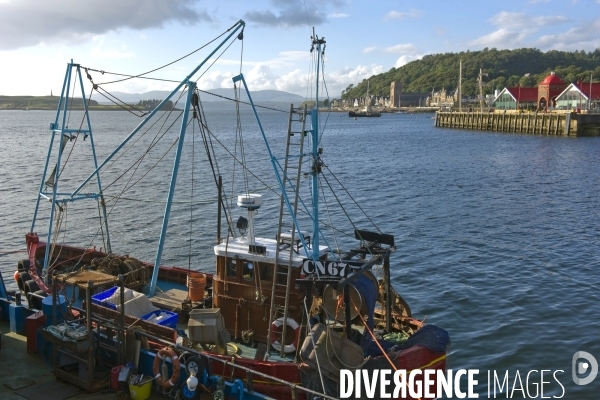 L  Ecosse. Scotland.Oban,petite station balenaire au sud ouest des Highlands,port de peche .