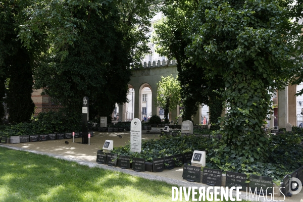Six Jours à Budapest